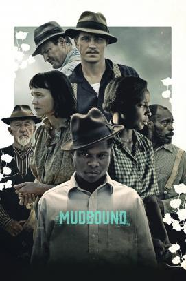 Nomadland stream