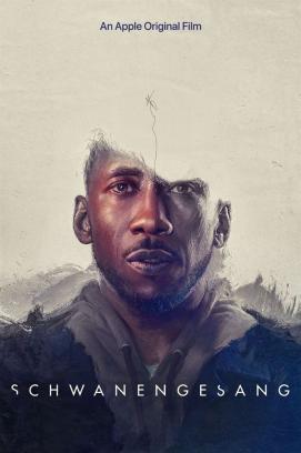 Nomadland stream