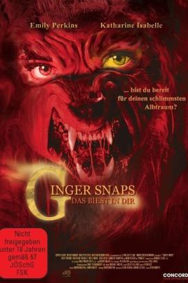 Nomadland stream