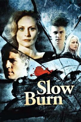 Nomadland stream
