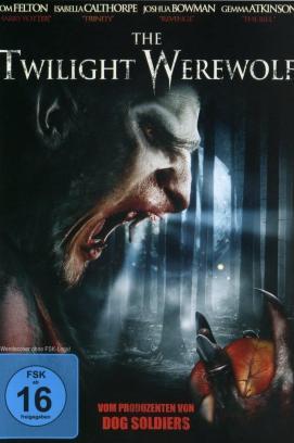 Nomadland stream
