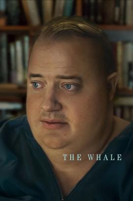 Nomadland stream